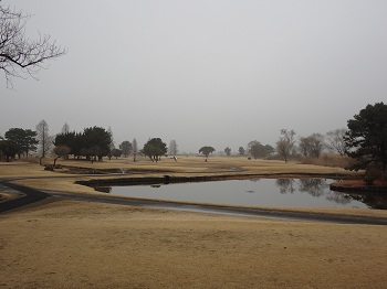 golf01-nisso.JPG
