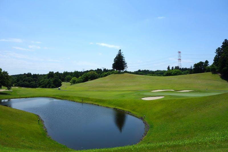 no4-oakhills.jpg