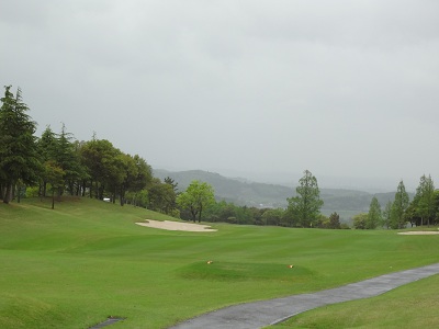 no7-royalstar-gc.jpg