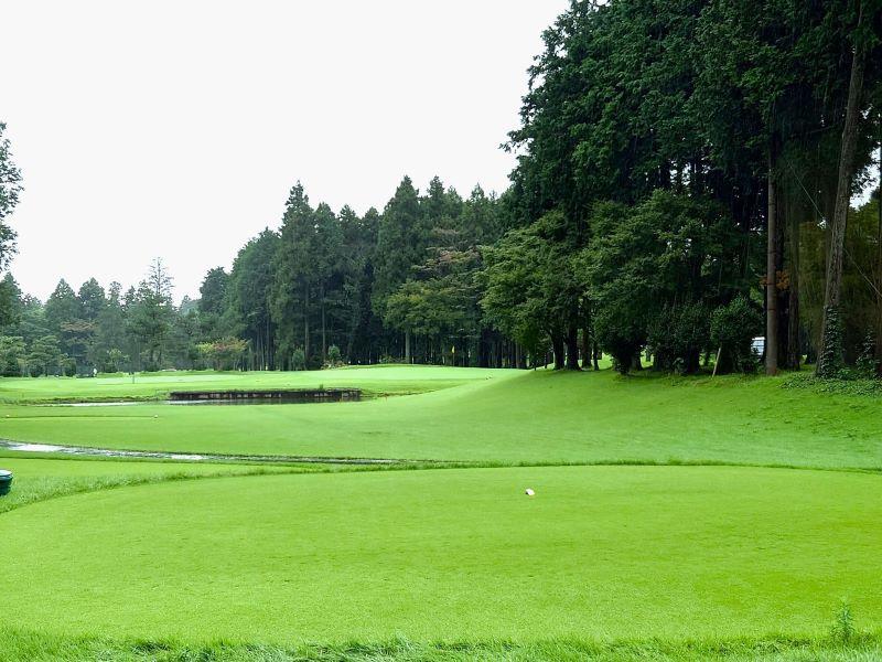 池越えのショートホール15番