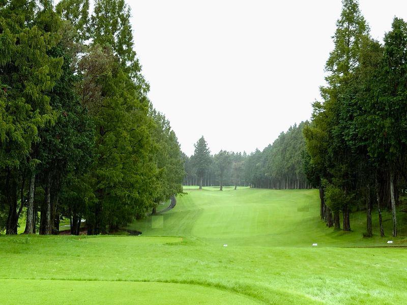 トリッキーな雰囲気な17番ロング