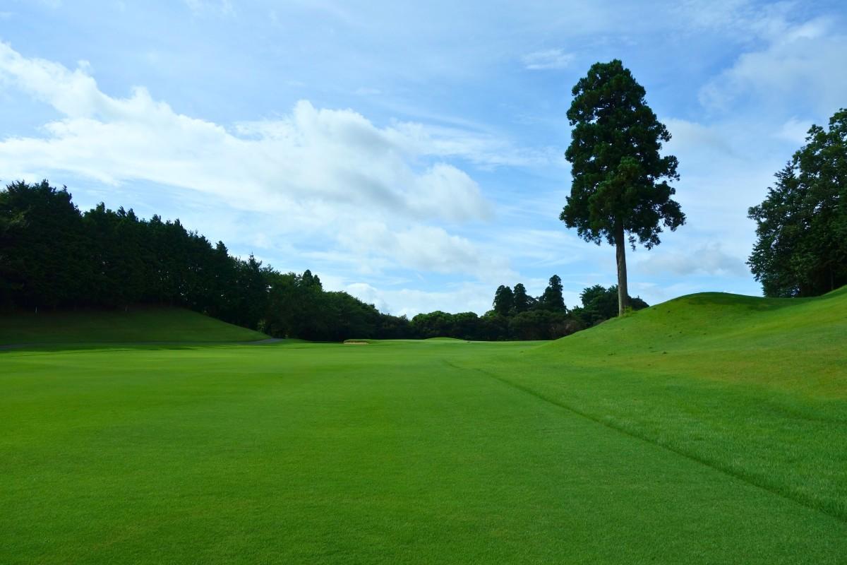 1番ホールセカンド地点。右側の木でグリーンが狙えないことも