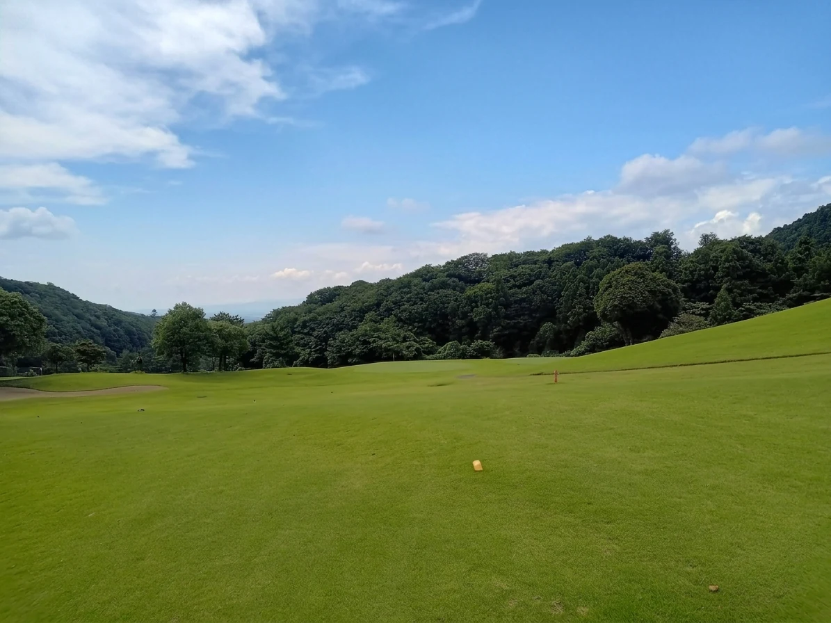 南3番ホール 2打目地点からグリーン方向