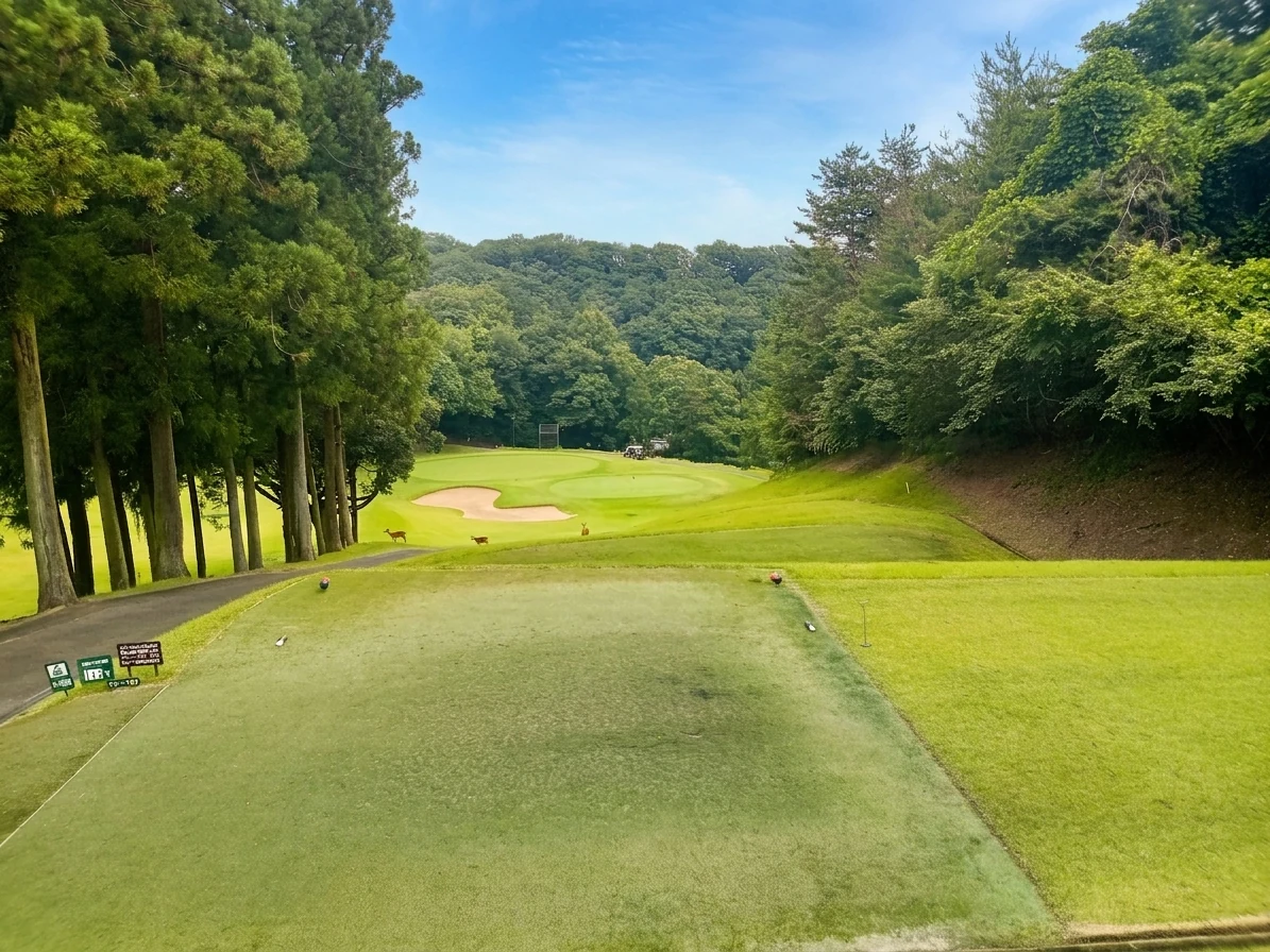 南8番ホール（144Y・Par3）ティーショット方向