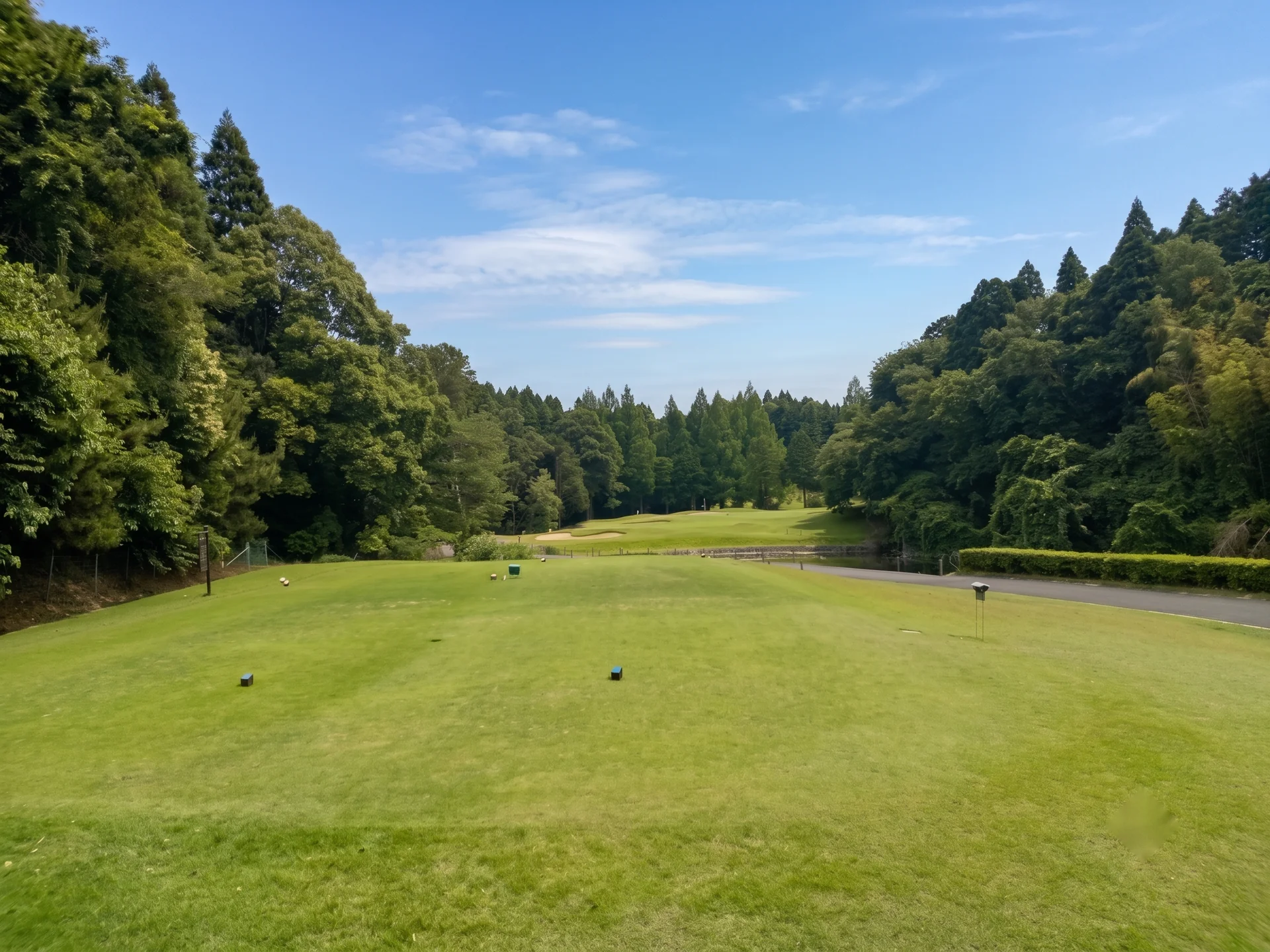 東コース2番ホール（161Y・Par3）ティーショット方向