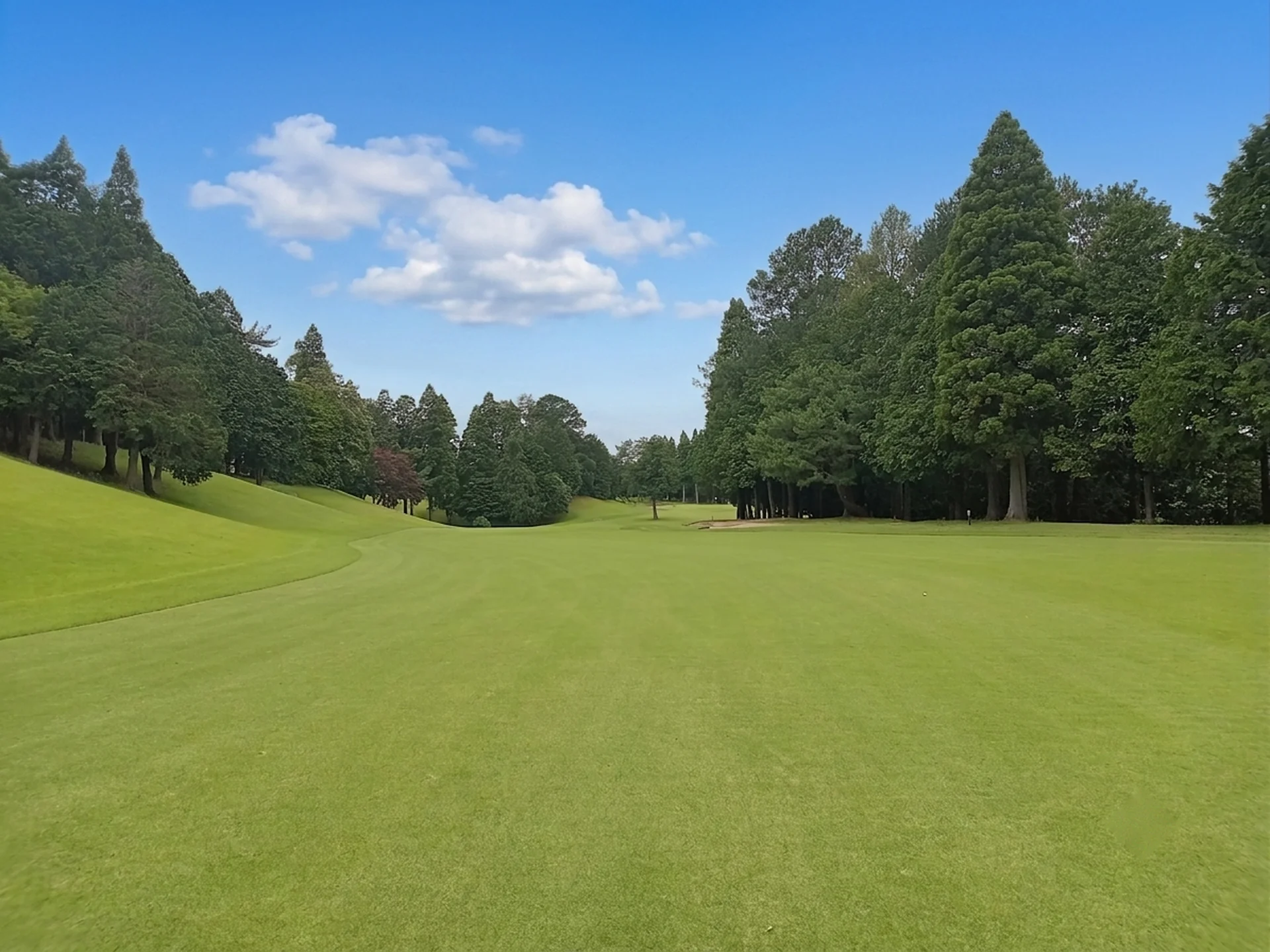 東コース9番ホール 2打目地点からフェアウェイ方向