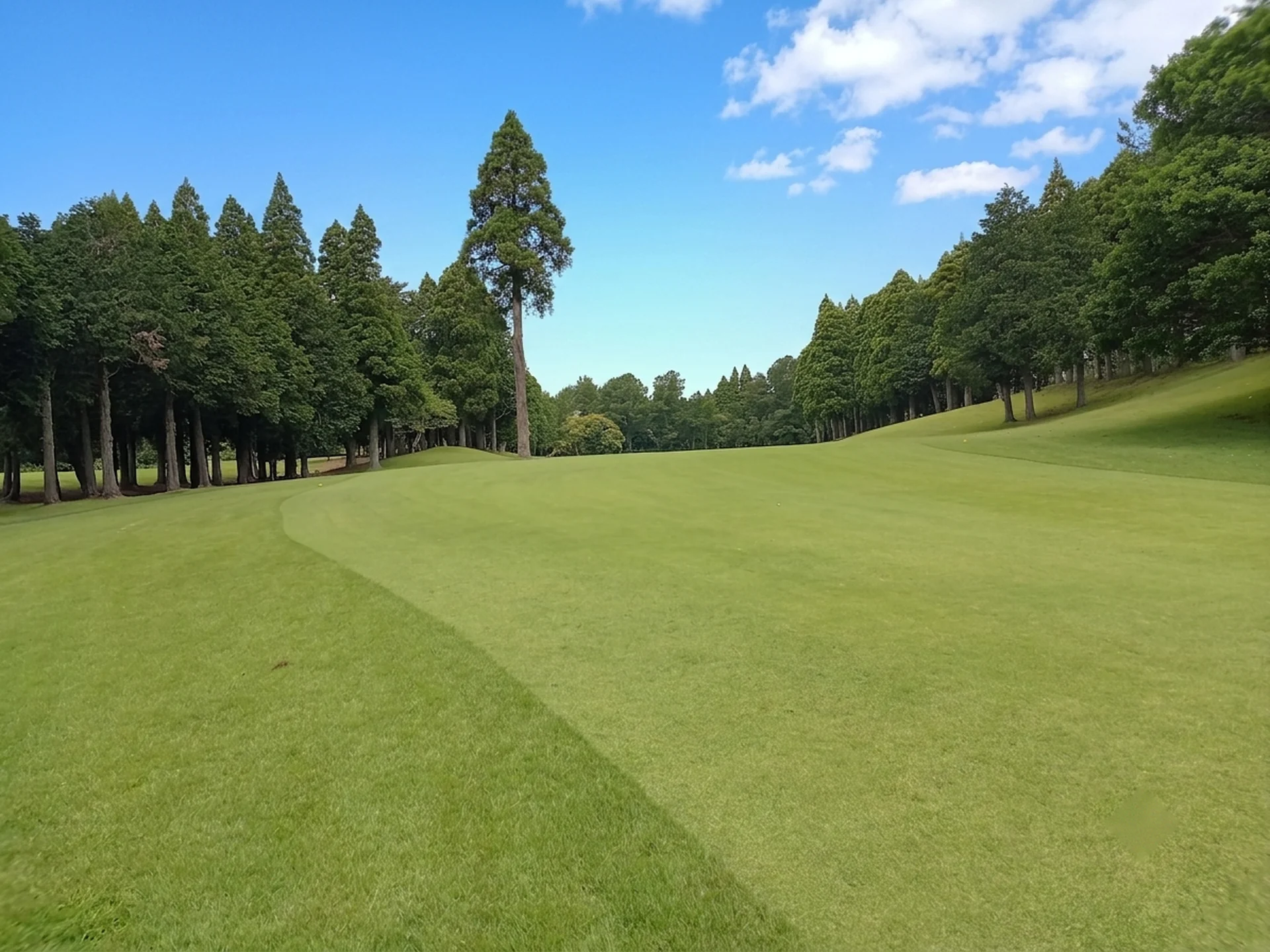 東コース15番ホール 2打目地点からフェアウェイ方向