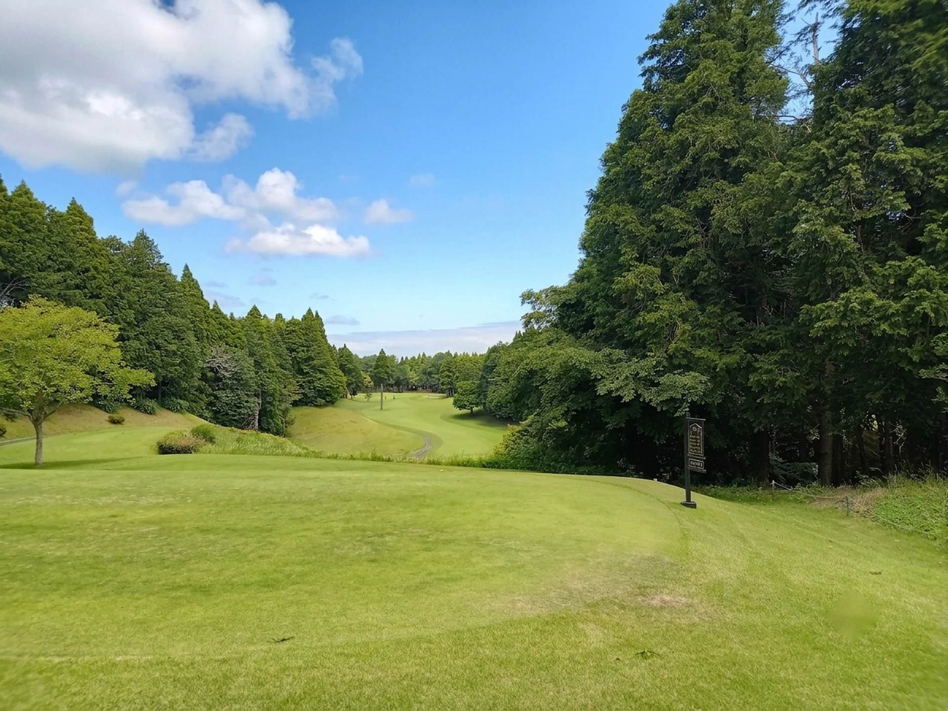 東コース15番ホール（491Y・Par5）ティーショット方向