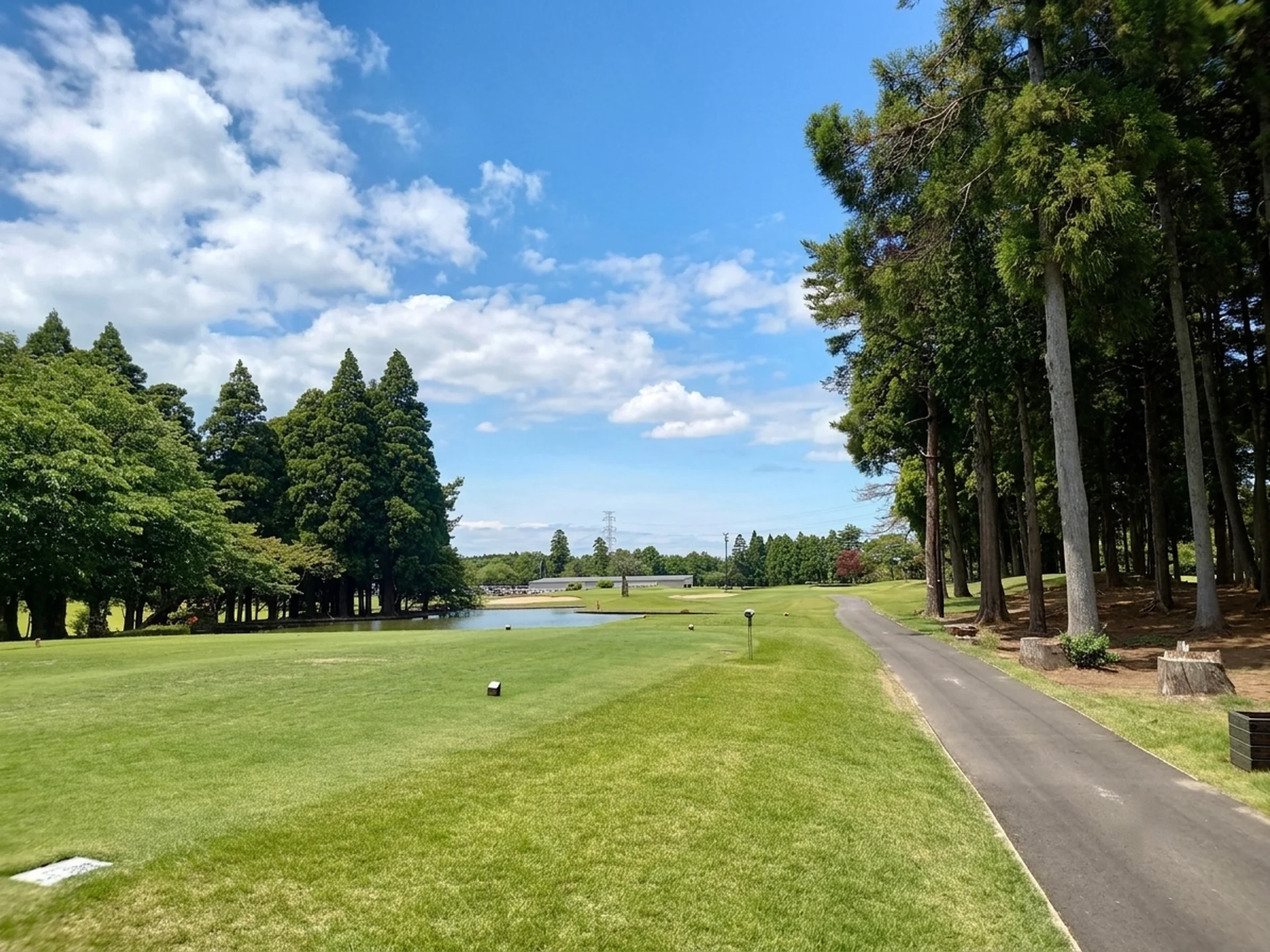 東コース18番ホール（181Y・Par3）池越えのティーショット方向