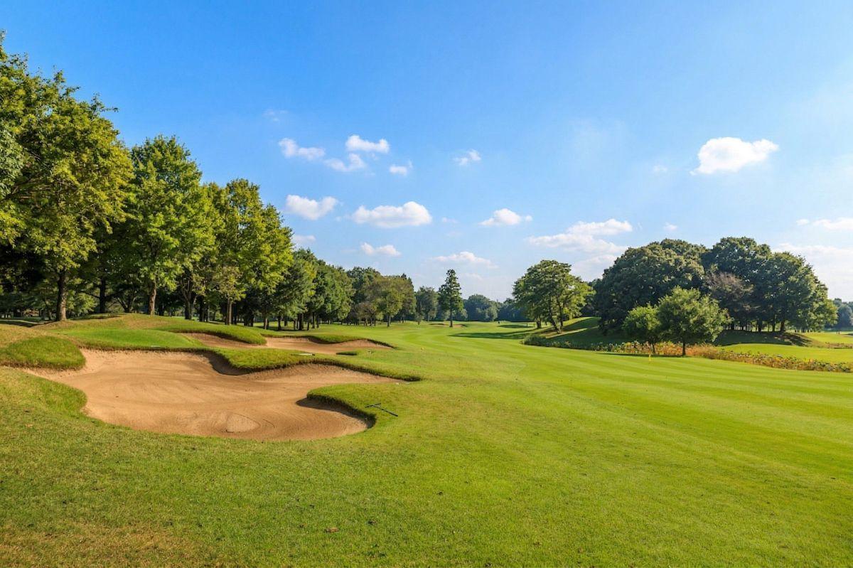 木が絡む13番ホールのセカンド地点