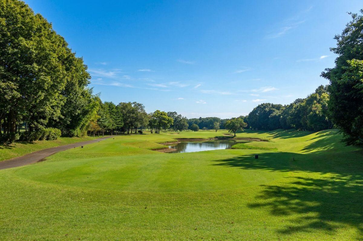 池越えの15番ショートホール