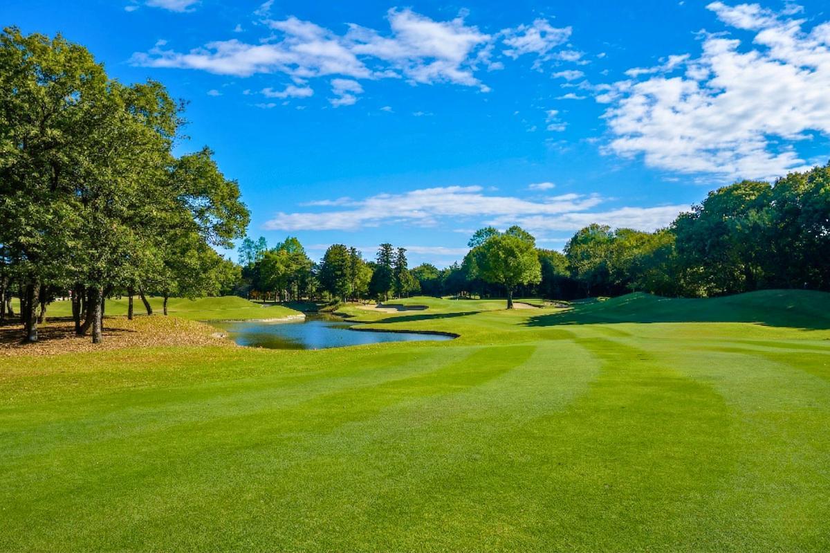 木とバンカーが絡む16番ホール