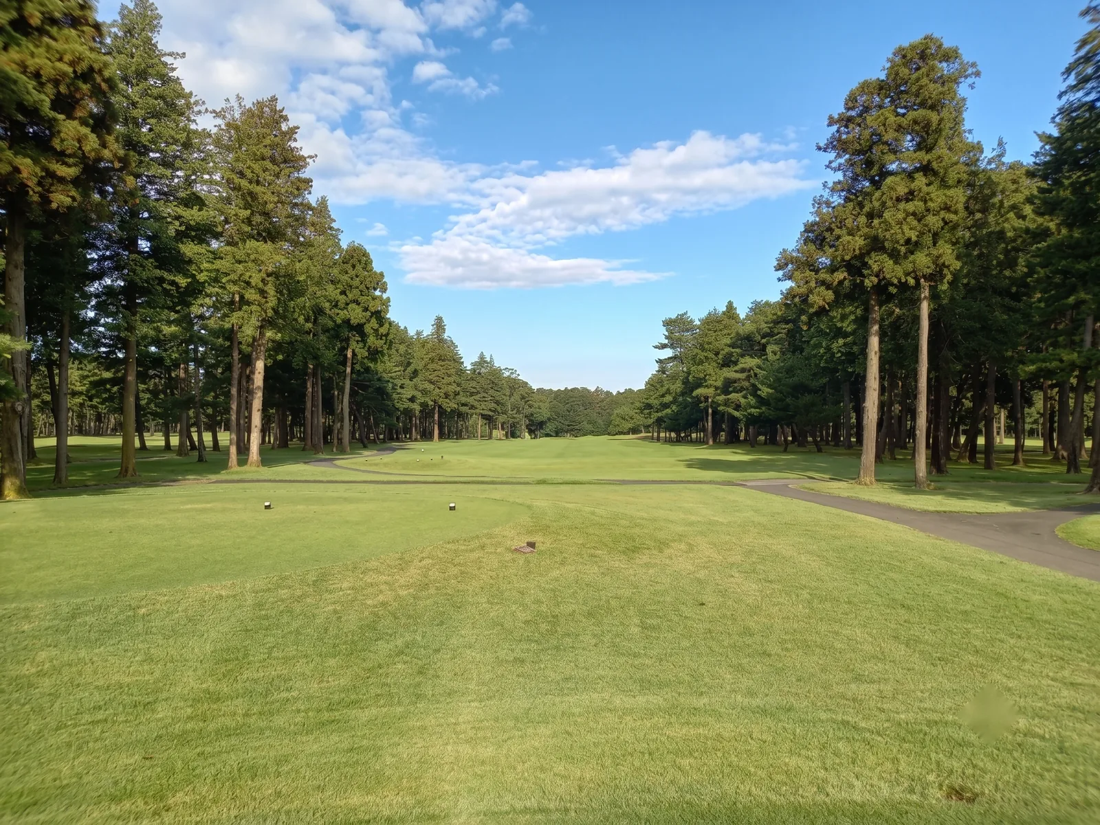 sohbu-higashi02-toyo.webp