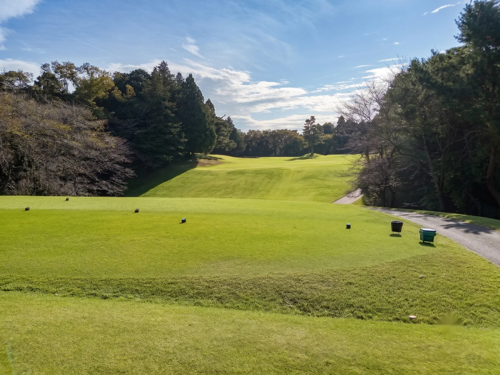 sohbu-higashi06-toyo.webp