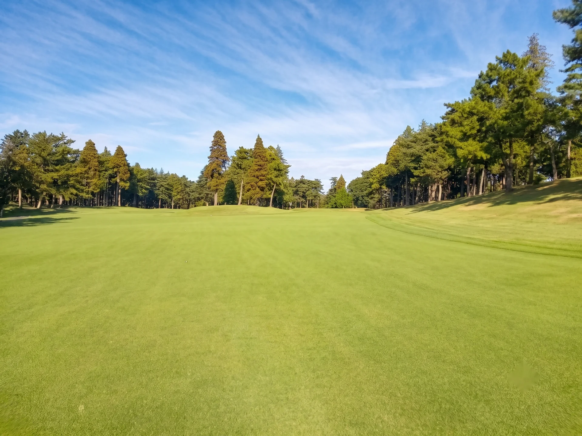 sohbu-higashi07-02-toyo.webp