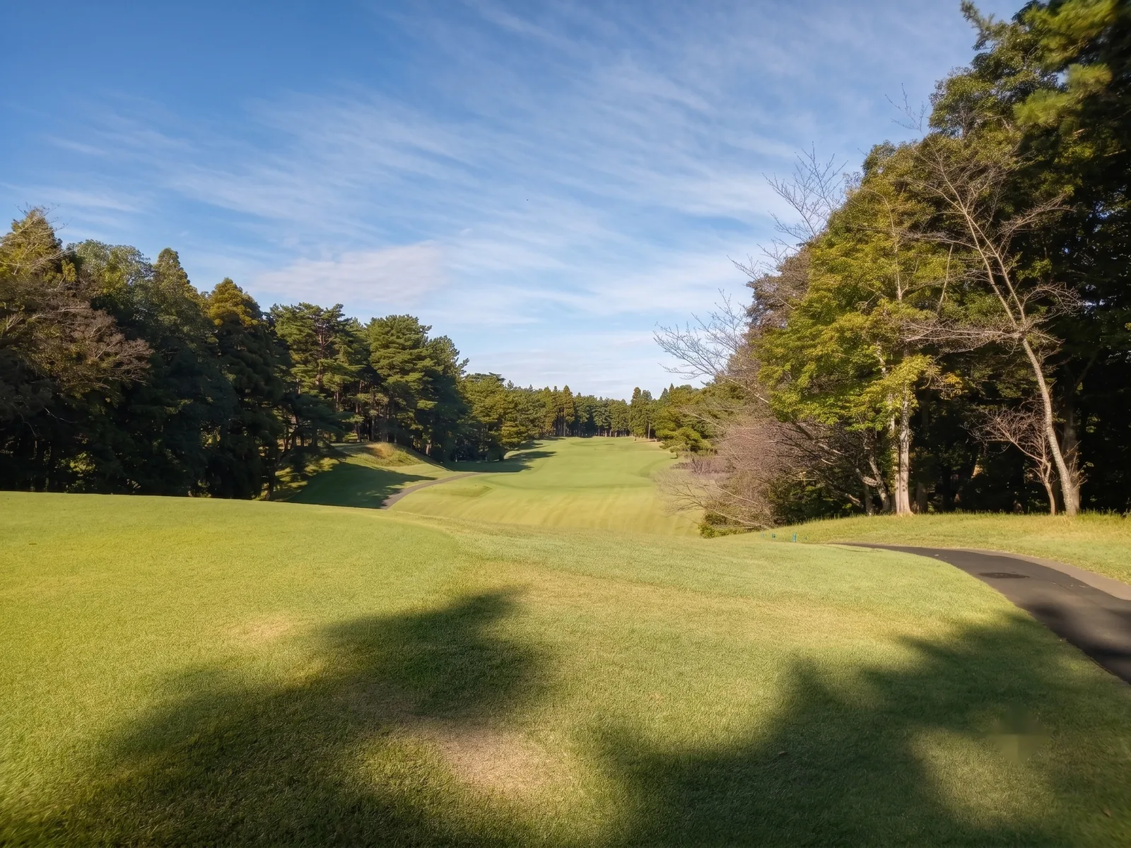 sohbu-higashi07-toyo.webp
