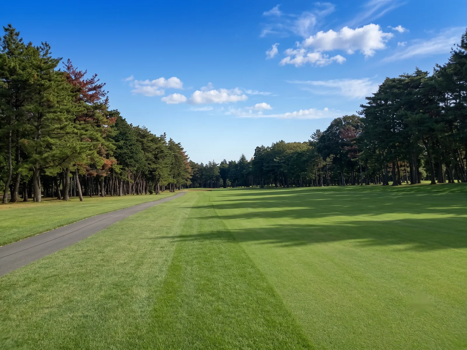 sohbu-higashi08-02-toyo.webp