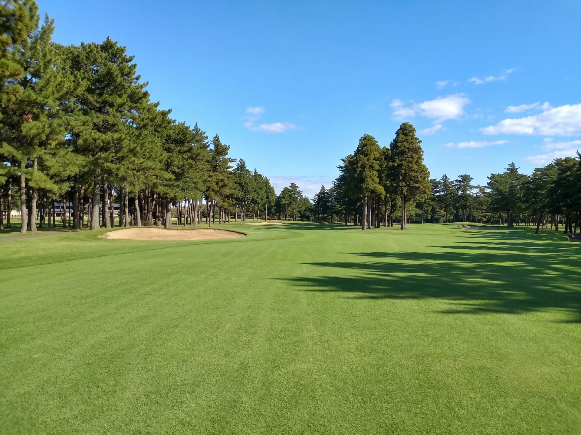 sohbu-naka02-02-toyo.webp