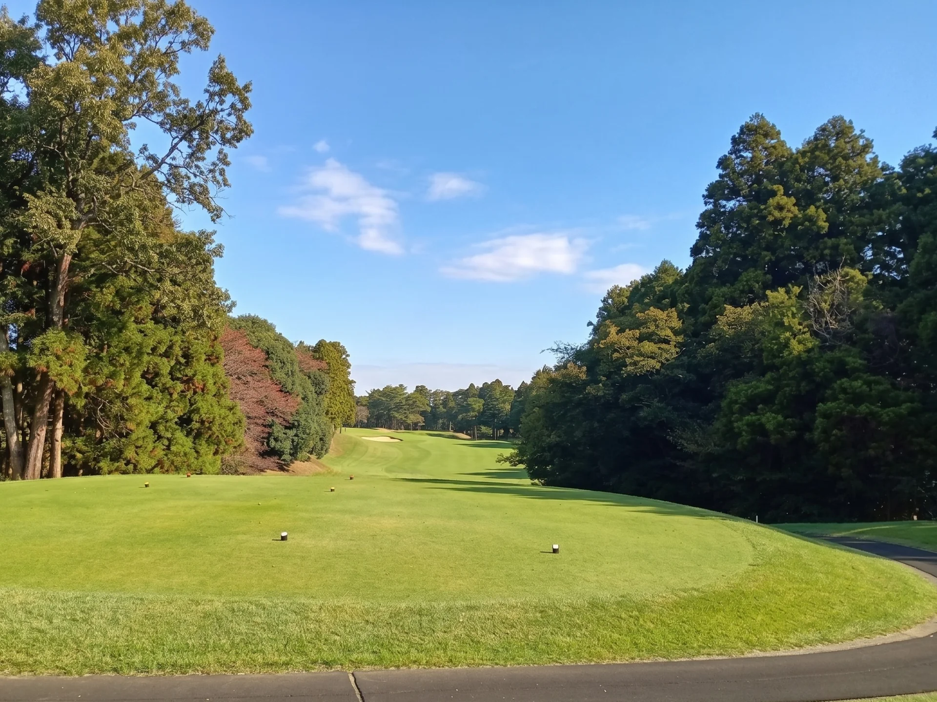 sohbu-naka06-toyo.webp